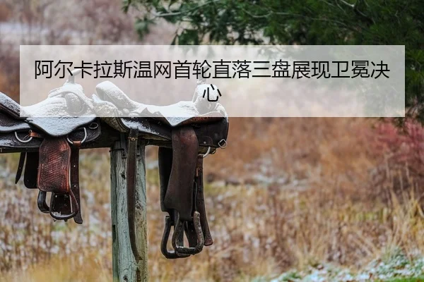 a-er-ka-la-si-wen-wang-shou-lun-zhi-luo-san-pan-zhan-xian-wei-mian-jue-xin-2-658.jpg