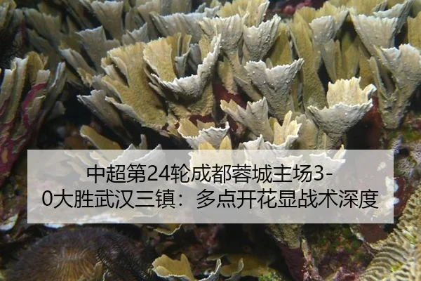 zhong-chao-di-lun-cheng-du-rong-cheng-zhu-chang-da-sheng-wu-han-san-zhen-duo-dian-kai-hua-xian-zhan-shu-shen-du-2-347.jpg
